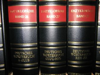 20031120_gluc-reg.JPG