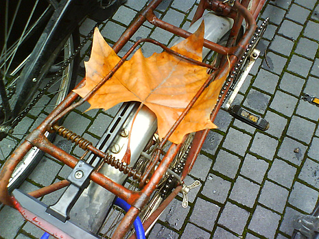 herbstblatt.jpg