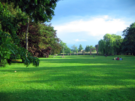 picture-0031