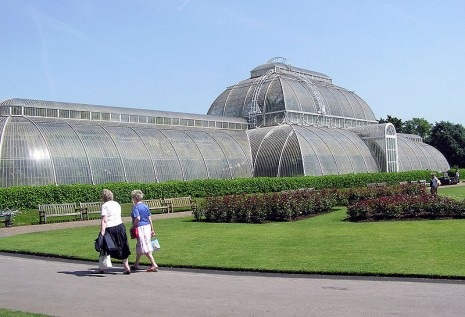 800px-kewgardenspalmhouselondonarp