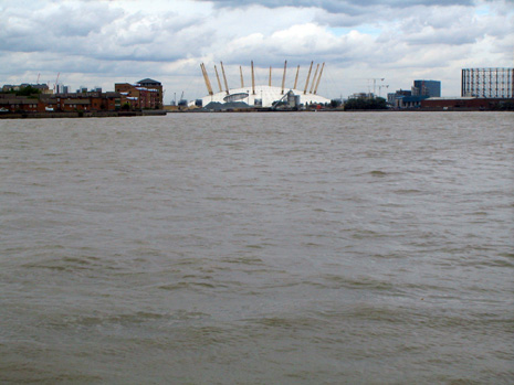 picture-0241