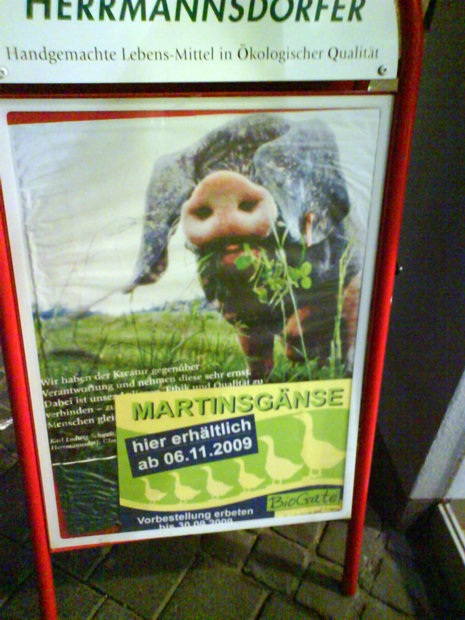 Martinsgans Martinsschwein Schwein Trier